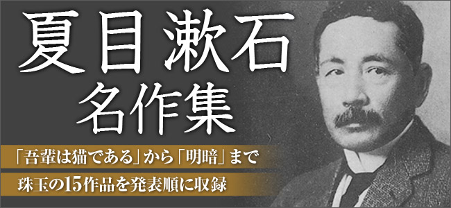 ��������̾�